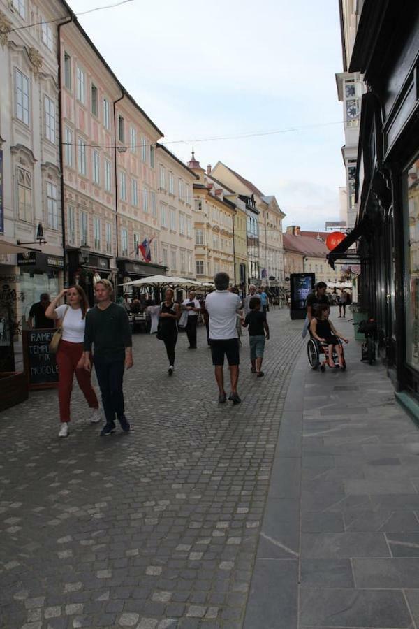 Lovely Old City-Center Apartment Laibach Exterior foto