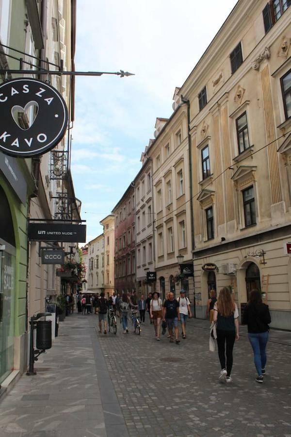 Lovely Old City-Center Apartment Laibach Exterior foto